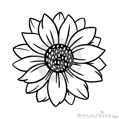 Sunflower black linear drawing. Vector Illustration