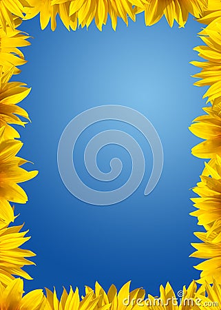 Sunflower border Stock Photo