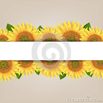 Sunflower Border With Paper Banner Vector Illustration