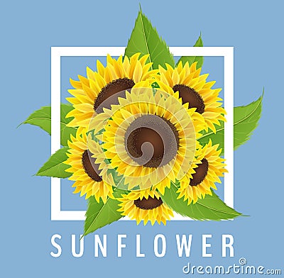 Sunflower bouquet with white frame and blue background Vector Illustration