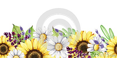 Sunflower, daisy, lavender flowers seamless border. Watercolor illustration. Hand drawn spring and summertime natural Cartoon Illustration