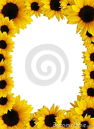 Sunflower frame Stock Photo