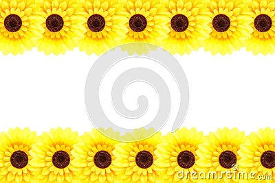 Sunflower frame Stock Photo