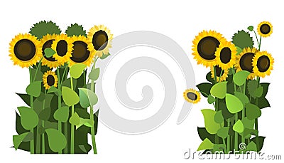 Sunflower grows in field. Frame with place for text. Harvest agricultural plant. Food product of sunflower oil. Farmer Vector Illustration