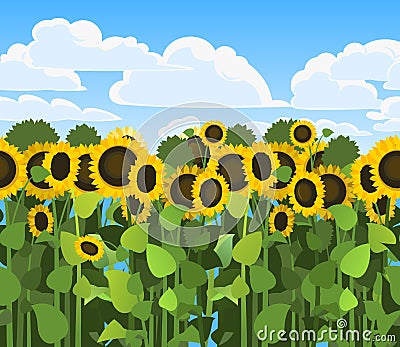 Sunflower grows in field. Harvest agricultural plant. Seamless pattern. Food is a product of sunflower oil production Vector Illustration