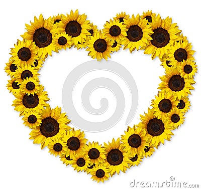 Sunflower heart frame Stock Photo