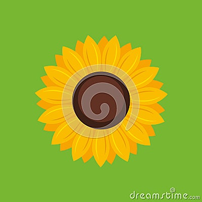 Sunflower icon - Vector Vector Illustration