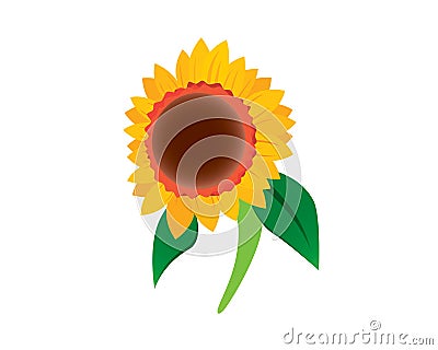 Sunflower Illustration as Flora Entity Vector Illustration