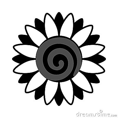 Sunflower illustration in black and white on isolated background Vector Illustration