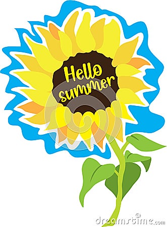 Sunflower illustration with hello summer Cartoon Illustration
