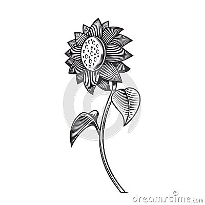 Sunflower line art vintage tattoo or print design vector illustratio Vector Illustration