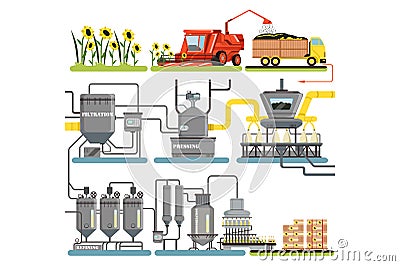 Sunflower oil production process stages, harvesting sunflowers and packing of finished products vector Illustrations Vector Illustration