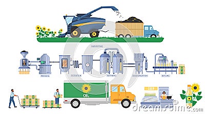 Sunflower oil production vector infographic. Seeds harvesting, transport. Vegetable oil processing plant. Food industry. Vector Illustration