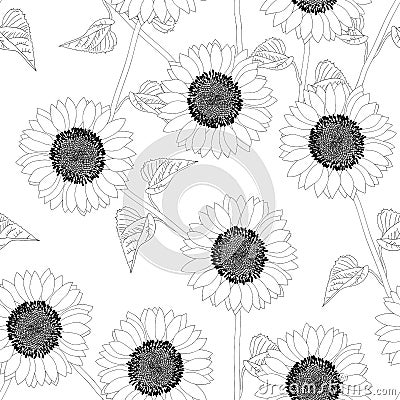 Sunflower Outline Seamless on White Background. Vector Illustration Vector Illustration