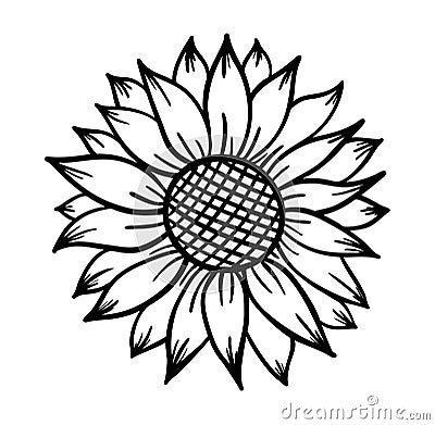 Sunflower print vector illustration for chirt Vector Illustration