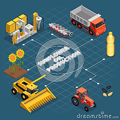 Sunflower Production Isometric Composition Vector Illustration