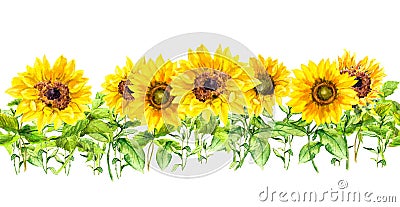 Sunflower seamless border. Yellow summer flowers repeating frame. Watercolor floral banner Stock Photo