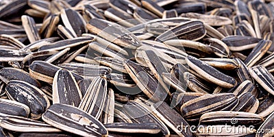 Sunflower Seeds Stock Photo