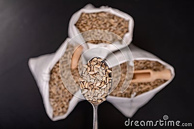 Sunflower seeds on a metal spoon. Tasty beans from which oil is made Stock Photo
