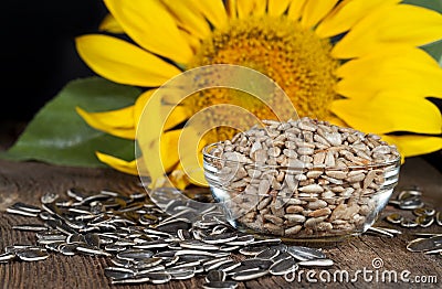 Sunflower Seeds Stock Photo