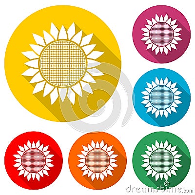 Sunflower symbol icon, color icon with long shadow Vector Illustration