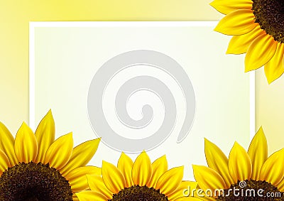 Sunflower vector background with frame Stock Photo