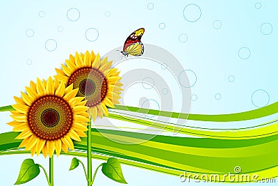 Sunflower Vector Illustration