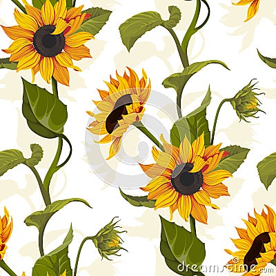 Sunflower vector seamless pattern floral texture on bright background Vector Illustration