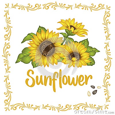 Sunflower vintage wedding invitation. Yellow flowers card design. Vector illustration Cartoon Illustration