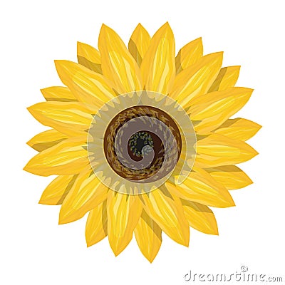 Sunflower Vector Illustration