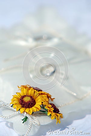 Sunflower on the white ring pillow Stock Photo