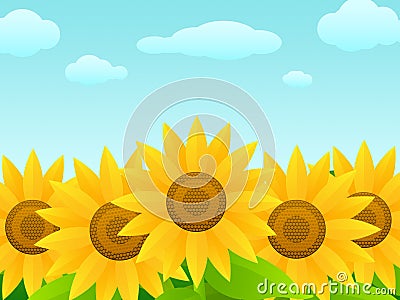 Sunflowers Vector Illustration