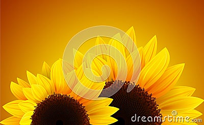 Sunflowers romantic background. Vector Illustration