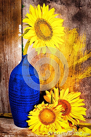 Sunflowers on a blue vase with an old wood planks background Stock Photo