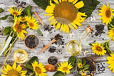 Sunflowers, bottle with oil and sunflowers seed Stock Photo