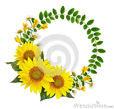 Sunflowers, daisies and acacia flowers and green leaves in a round frame Stock Photo