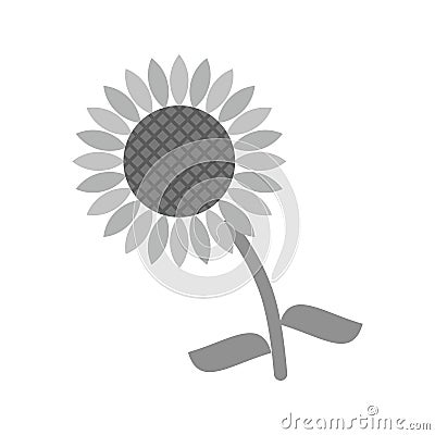 Sunflowers Vector Illustration