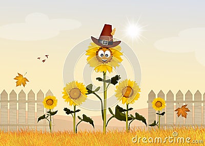 Sunflowers field cartoon Cartoon Illustration