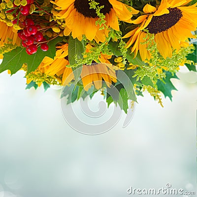 Sunflowers with green leaves Stock Photo