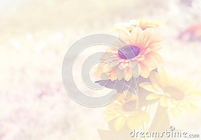 Sunflowers - Nature soft background Stock Photo