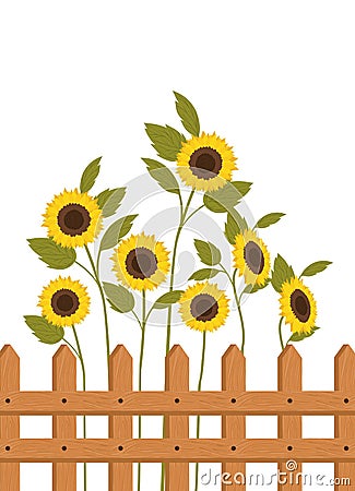 Sunflowers with near isolated icon Vector Illustration