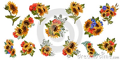 Sunflowers, poppies, cornflowers, daisies. Big set, autumn colors, sunflowers, botanical painting. Bouquets Stock Photo