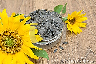 Sunflowers and ripe seeds close-up on a wooden board Stock Photo