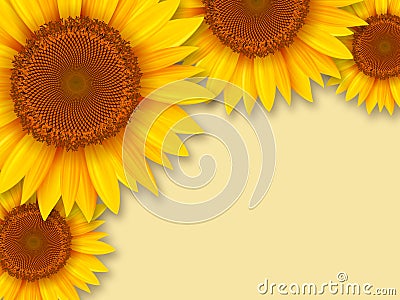 Sunflowers romantic background Cartoon Illustration