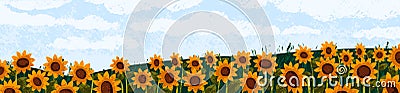 Sunflowers and sky, summer landscape. Nature panorama, wide background. Sun flowers, agriculture field. Blossomed Vector Illustration