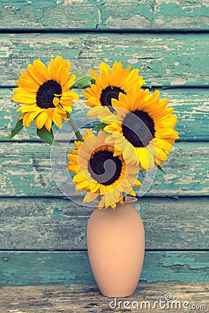 Sunflowers in the vase against old wooden wall Stock Photo