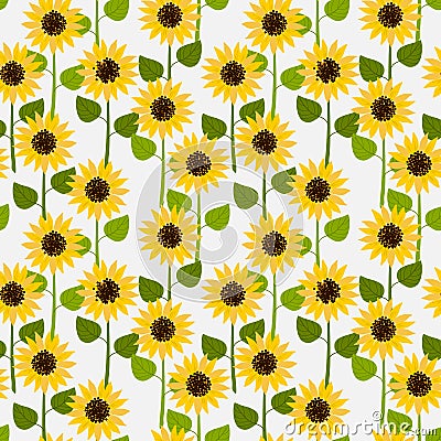 Sunflowers on white pale background seamless pattern Vector Illustration