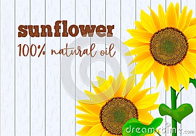 Sunflowers on white wooden background illustration Cartoon Illustration