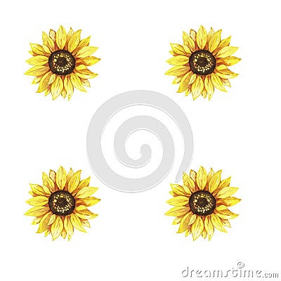 Sunflowers, yellow flowers, floral illustration, seamless pattern Cartoon Illustration
