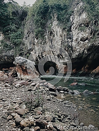 Sungai Alam Sejuk Hutan Pohon Batuan Stock Photo